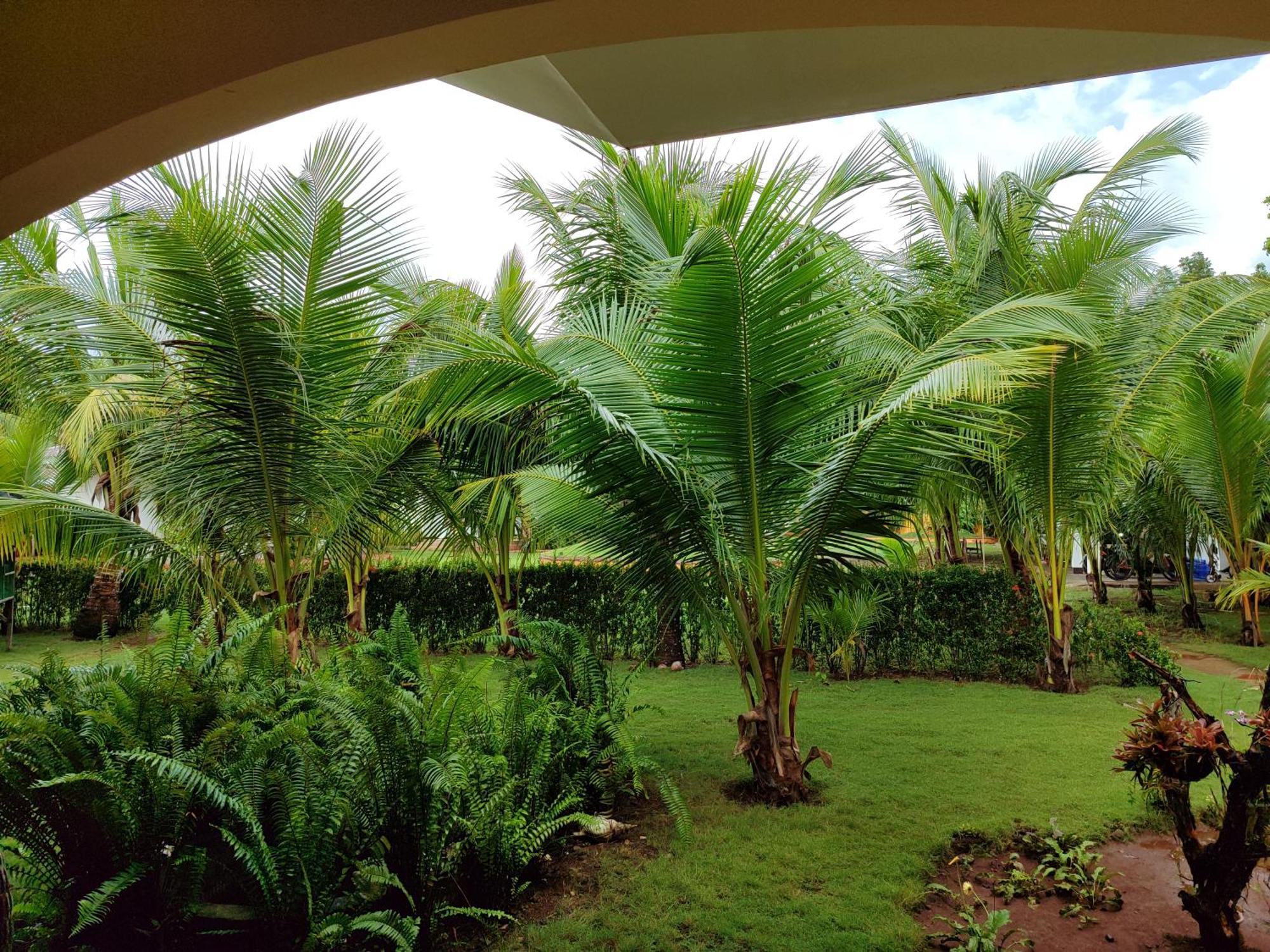 E&N Paradise Island Resort Siquijor Bagian luar foto